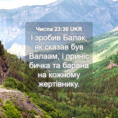 Picture 04 - Числа 23:30 UKR - І зробив Балак, як сказав - Bible Verse Picture