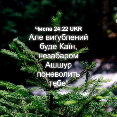 Picture 04 - Числа 24:22 UKR - Але вигублений буде Каїн, - Bible Verse Picture