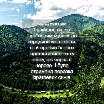 Picture 04 - Числа 25:8 UKR - І ввійшов він за - Bible Verse Picture