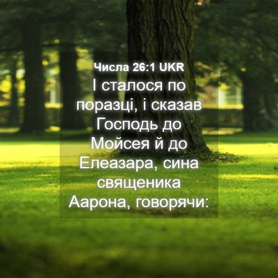 Picture 04 - Числа 26:1 UKR - І сталося по поразці, і - Bible Verse Picture
