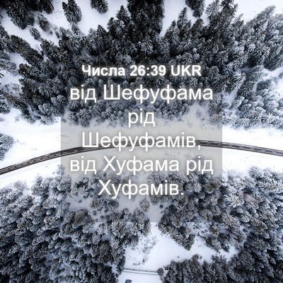 Picture 04 - Числа 26:39 UKR - від Шефуфама рід - Bible Verse Picture