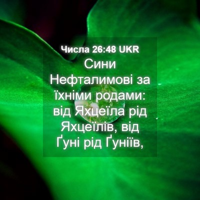 Picture 04 - Числа 26:48 UKR - Сини Нефталимові за їхніми - Bible Verse Picture