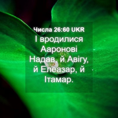 Picture 04 - Числа 26:60 UKR - І вродилися Ааронові - Bible Verse Picture