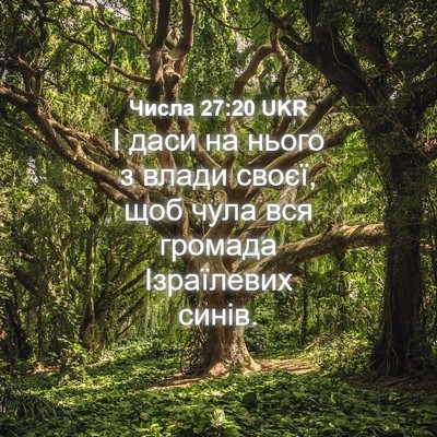 Picture 04 - Числа 27:20 UKR - І даси на нього з влади - Bible Verse Picture