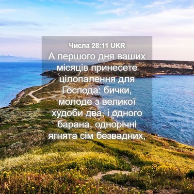 Picture 04 - Числа 28:11 UKR - А першого дня ваших - Bible Verse Picture