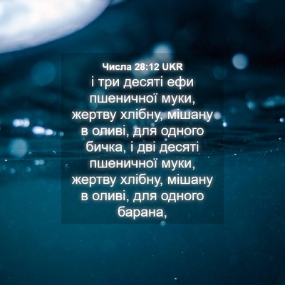 Picture 04 - Числа 28:12 UKR - і три десяті ефи пшеничної - Bible Verse Picture