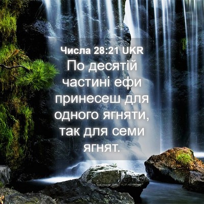 Picture 04 - Числа 28:21 UKR - По десятій частині ефи - Bible Verse Picture
