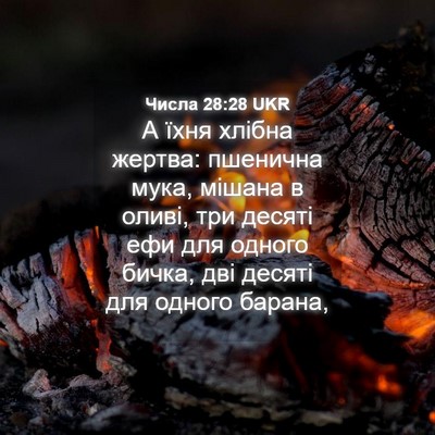 Picture 04 - Числа 28:28 UKR - А їхня хлібна жертва: - Bible Verse Picture