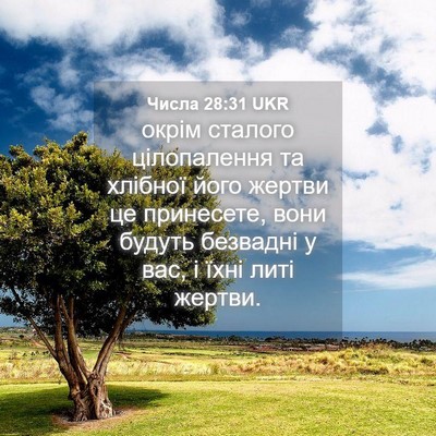 Picture 04 - Числа 28:31 UKR - окрім сталого цілопалення - Bible Verse Picture