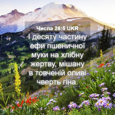 Picture 04 - Числа 28:5 UKR - І десяту частину ефи - Bible Verse Picture