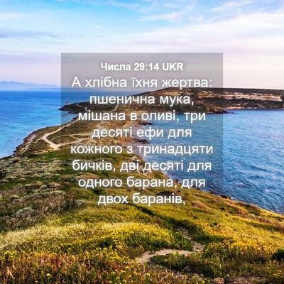 Picture 04 - Числа 29:14 UKR - А хлібна їхня жертва: - Bible Verse Picture