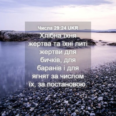 Picture 04 - Числа 29:24 UKR - Хлібна їхня жертва та їхні - Bible Verse Picture