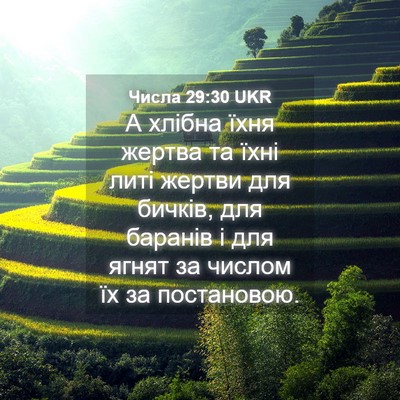 Picture 04 - Числа 29:30 UKR - А хлібна їхня жертва та - Bible Verse Picture