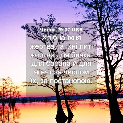 Picture 04 - Числа 29:37 UKR - Хлібна їхня жертва та їхні - Bible Verse Picture