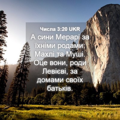 Picture 04 - Числа 3:20 UKR - А сини Мерарі за їхніми - Bible Verse Picture