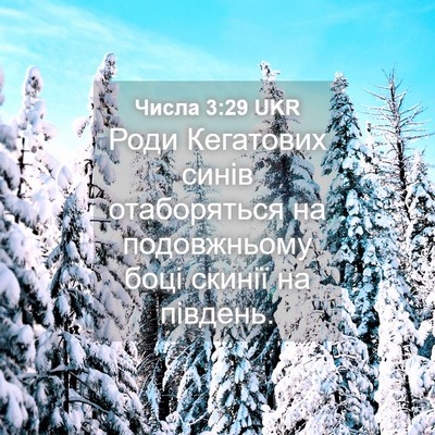 Picture 04 - Числа 3:29 UKR - Роди Кегатових синів - Bible Verse Picture