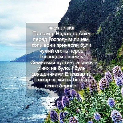 Picture 04 - Числа 3:4 UKR - Та помер Надав та Авігу - Bible Verse Picture