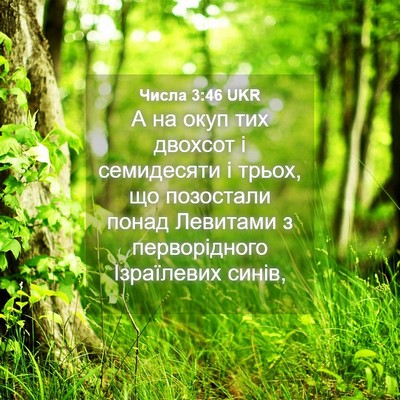Picture 04 - Числа 3:46 UKR - А на окуп тих двохсот і - Bible Verse Picture