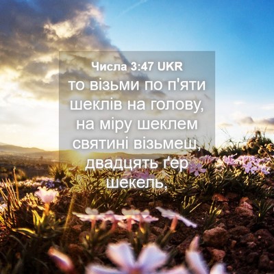 Picture 04 - Числа 3:47 UKR - то візьми по п'яти шеклів - Bible Verse Picture