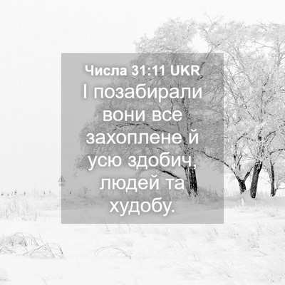 Picture 04 - Числа 31:11 UKR - І позабирали вони все - Bible Verse Picture