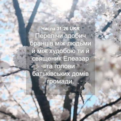 Picture 04 - Числа 31:26 UKR - Перелічи здобич бранців - Bible Verse Picture