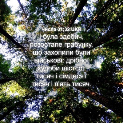 Picture 04 - Числа 31:32 UKR - І була здобич, позостале - Bible Verse Picture