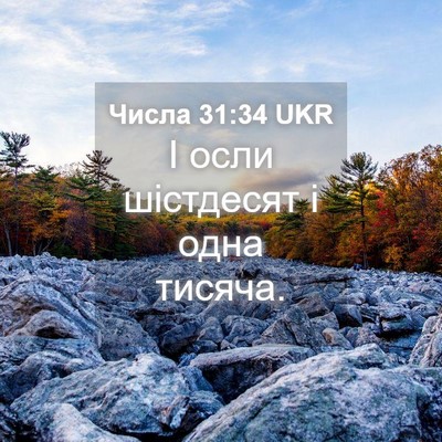 Picture 04 - Числа 31:34 UKR - І осли шістдесят і одна - Bible Verse Picture
