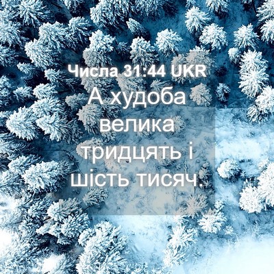 Picture 04 - Числа 31:44 UKR - А худоба велика тридцять і - Bible Verse Picture