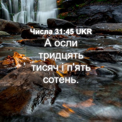 Picture 04 - Числа 31:45 UKR - А осли тридцять тисяч і - Bible Verse Picture