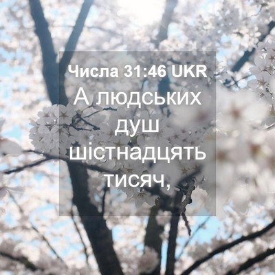 Picture 04 - Числа 31:46 UKR - А людських душ шістнадцять - Bible Verse Picture