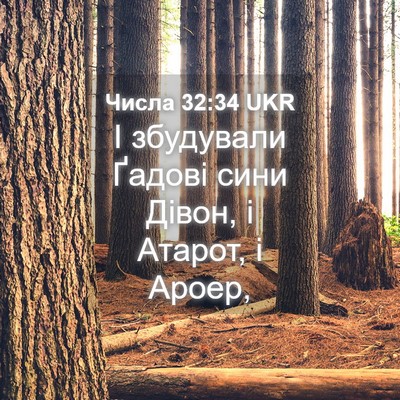 Picture 04 - Числа 32:34 UKR - І збудували Ґадові сини - Bible Verse Picture