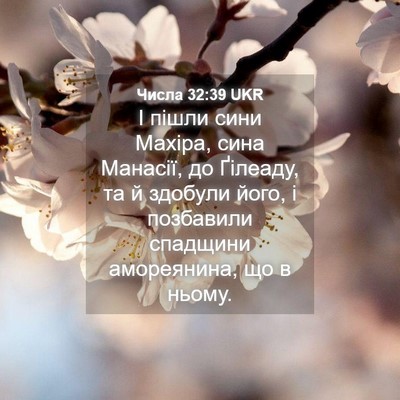 Picture 04 - Числа 32:39 UKR - І пішли сини Махіра, сина - Bible Verse Picture