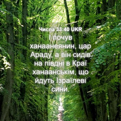 Picture 04 - Числа 33:40 UKR - І почув ханаанеянин, цар - Bible Verse Picture