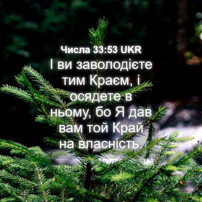 Picture 04 - Числа 33:53 UKR - І ви заволодієте тим Краєм, - Bible Verse Picture