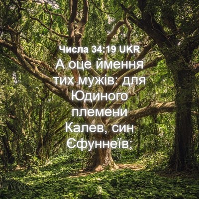 Picture 04 - Числа 34:19 UKR - А оце ймення тих мужів: для - Bible Verse Picture