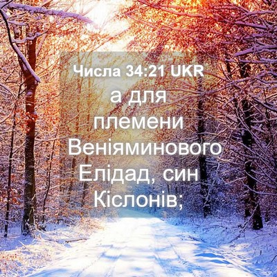 Picture 04 - Числа 34:21 UKR - а для племени - Bible Verse Picture