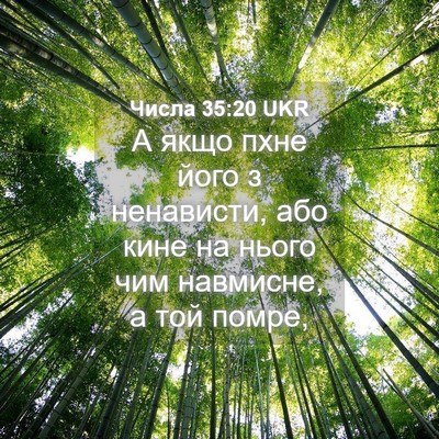 Picture 04 - Числа 35:20 UKR - А якщо пхне його з - Bible Verse Picture