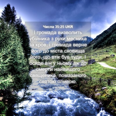 Picture 04 - Числа 35:25 UKR - І громада визволить - Bible Verse Picture