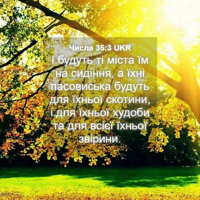 Picture 04 - Числа 35:3 UKR - І будуть ті міста їм на - Bible Verse Picture