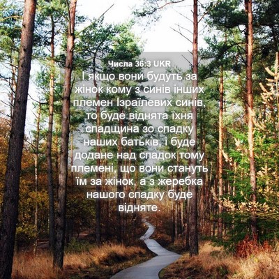 Picture 04 - Числа 36:3 UKR - І якщо вони будуть за жінок - Bible Verse Picture