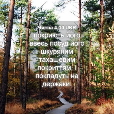 Picture 04 - Числа 4:10 UKR - і покриють його і ввесь - Bible Verse Picture