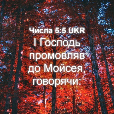 Picture 04 - Числа 5:5 UKR - І Господь промовляв до - Bible Verse Picture