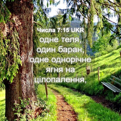 Picture 04 - Числа 7:15 UKR - одне теля, один баран, одне - Bible Verse Picture