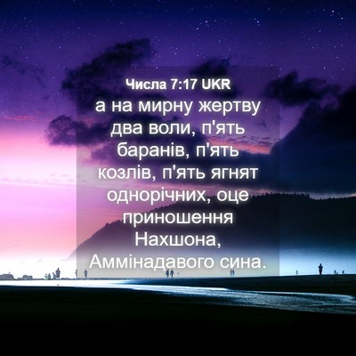 Picture 04 - Числа 7:17 UKR - а на мирну жертву два воли, - Bible Verse Picture