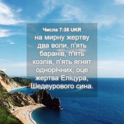 Picture 04 - Числа 7:35 UKR - на мирну жертву два воли, - Bible Verse Picture