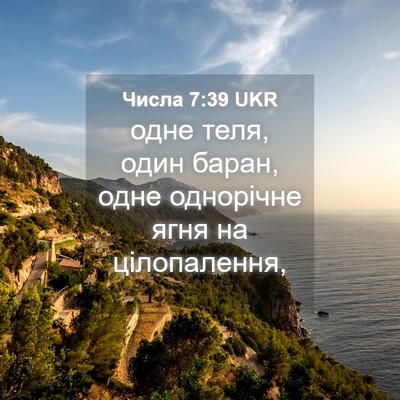 Picture 04 - Числа 7:39 UKR - одне теля, один баран, одне - Bible Verse Picture
