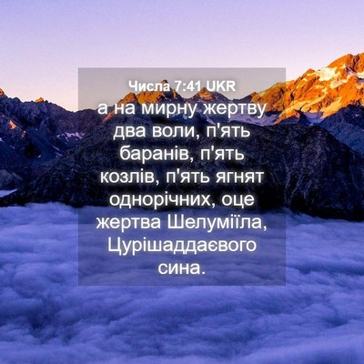 Picture 04 - Числа 7:41 UKR - а на мирну жертву два воли, - Bible Verse Picture