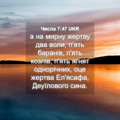 Picture 04 - Числа 7:47 UKR - а на мирну жертву два воли, - Bible Verse Picture
