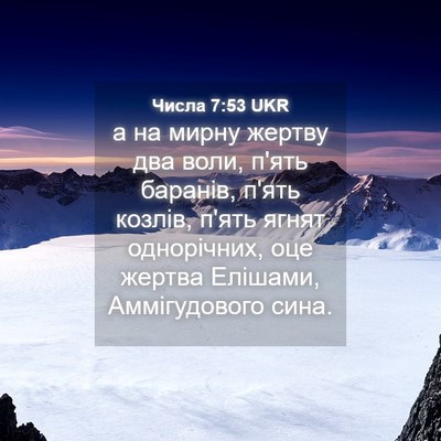 Picture 04 - Числа 7:53 UKR - а на мирну жертву два воли, - Bible Verse Picture