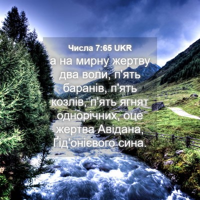 Picture 04 - Числа 7:65 UKR - а на мирну жертву два воли, - Bible Verse Picture
